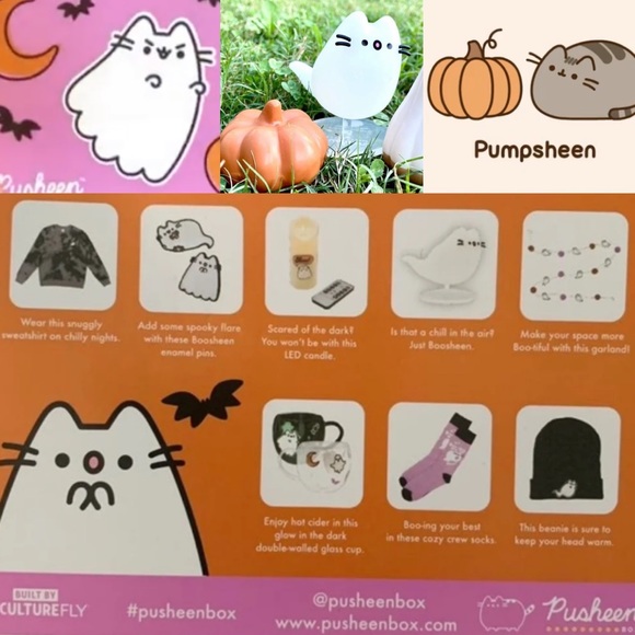 Pusheen Fall Box 2021 featuring boosheen - Picture 2 of 6
